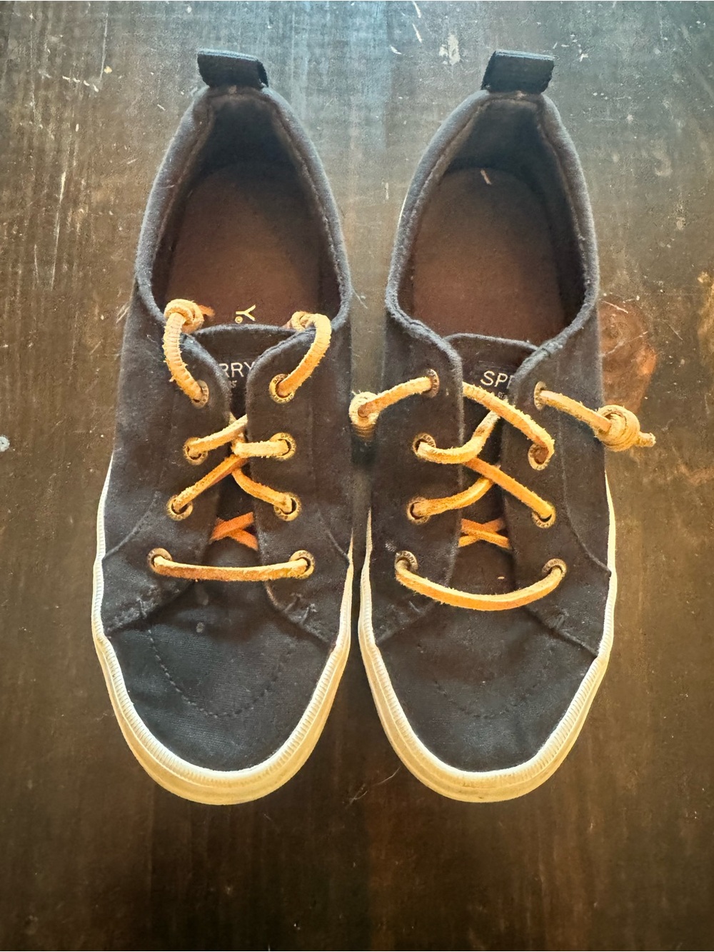Sperry Kids Navy Canvas Sneakers with Tan Laces